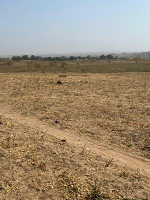 4 Acres of Land in Ayegun Oleyo Road, Ibadan